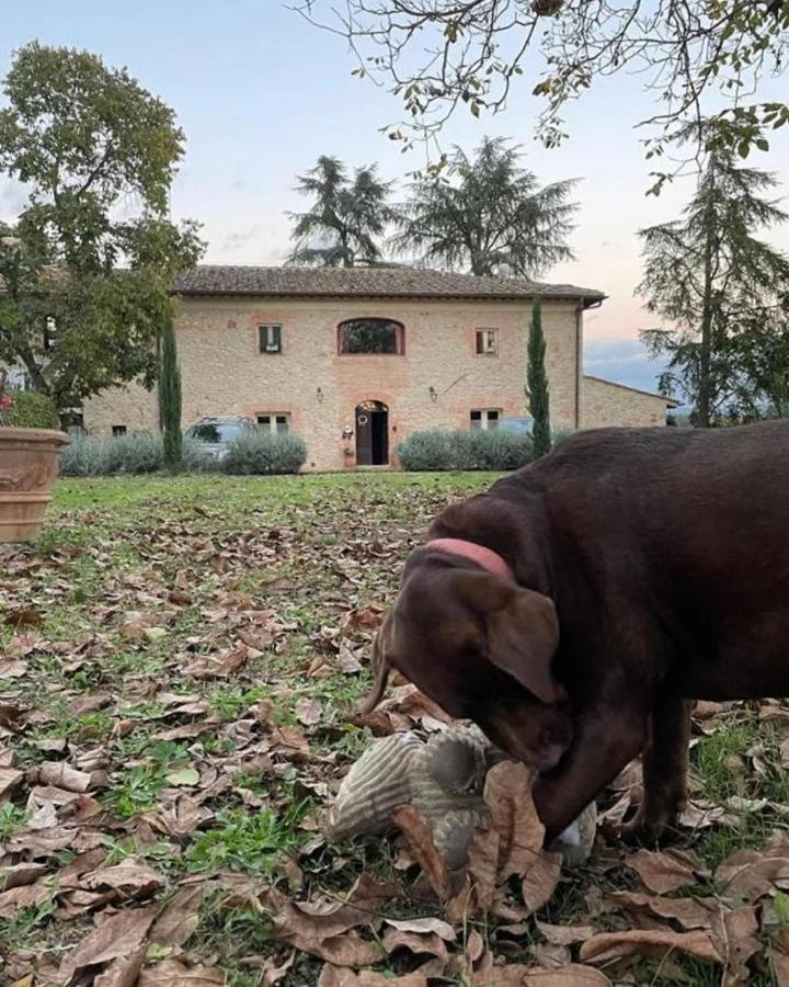 Agriturismo La Segolina Colle Val D'Elsa Zewnętrze zdjęcie