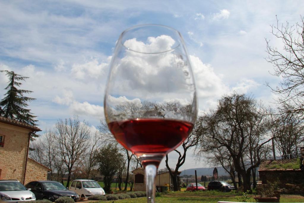 Agriturismo La Segolina Colle Val D'Elsa Zewnętrze zdjęcie