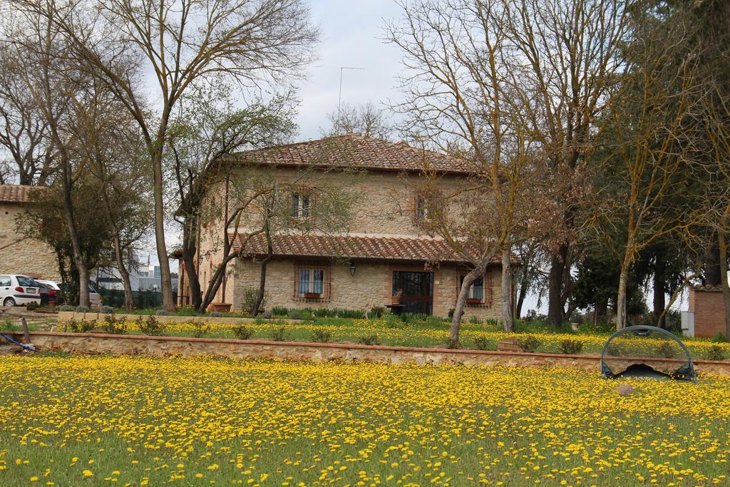 Agriturismo La Segolina Colle Val D'Elsa Zewnętrze zdjęcie