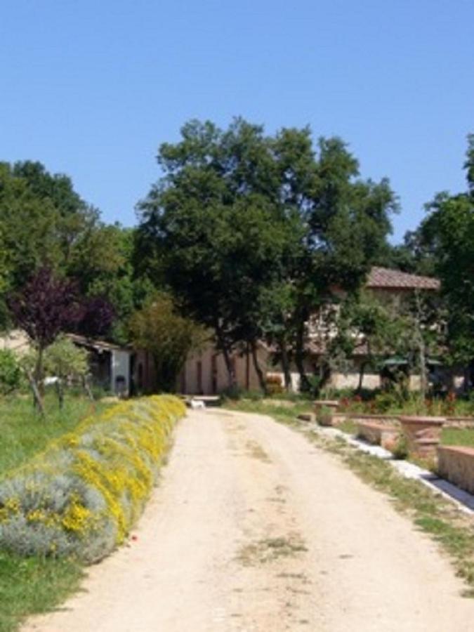 Agriturismo La Segolina Colle Val D'Elsa Zewnętrze zdjęcie